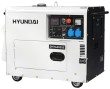 Дизельный генератор Газовый генератор Hyundai DHY 6000SE с АВР
